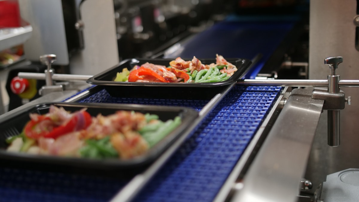 Professional preparing healthy meal